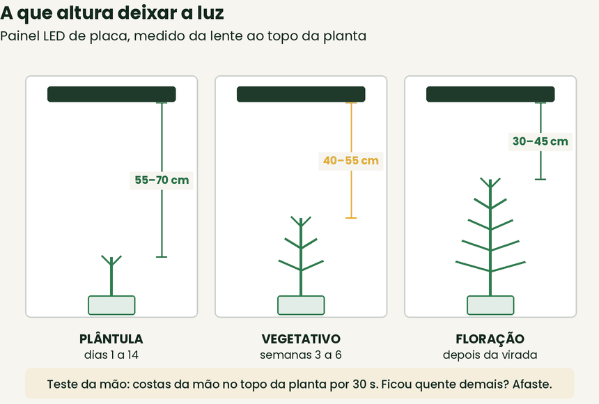 Altura da luz fase a fase