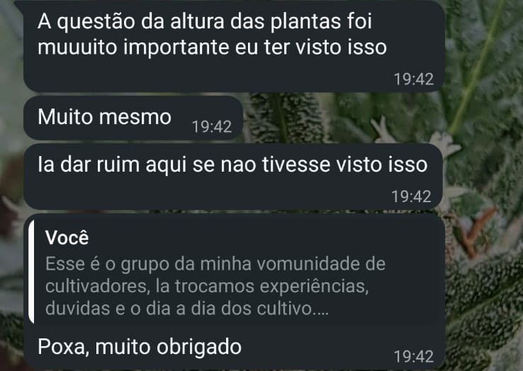 Mensagem de leitor: a questão da altura das plantas foi muito importante